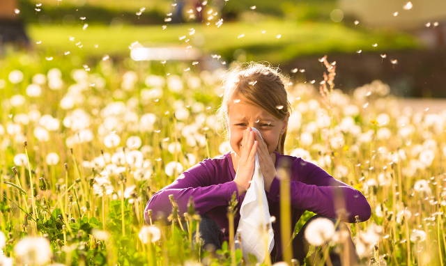 Dị ứng theo mùa - Hình ảnh minh họa